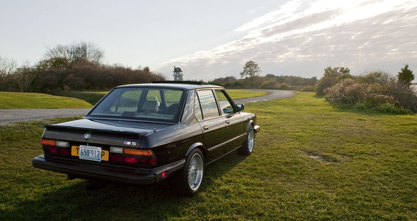 E28-RIghtBack.jpg